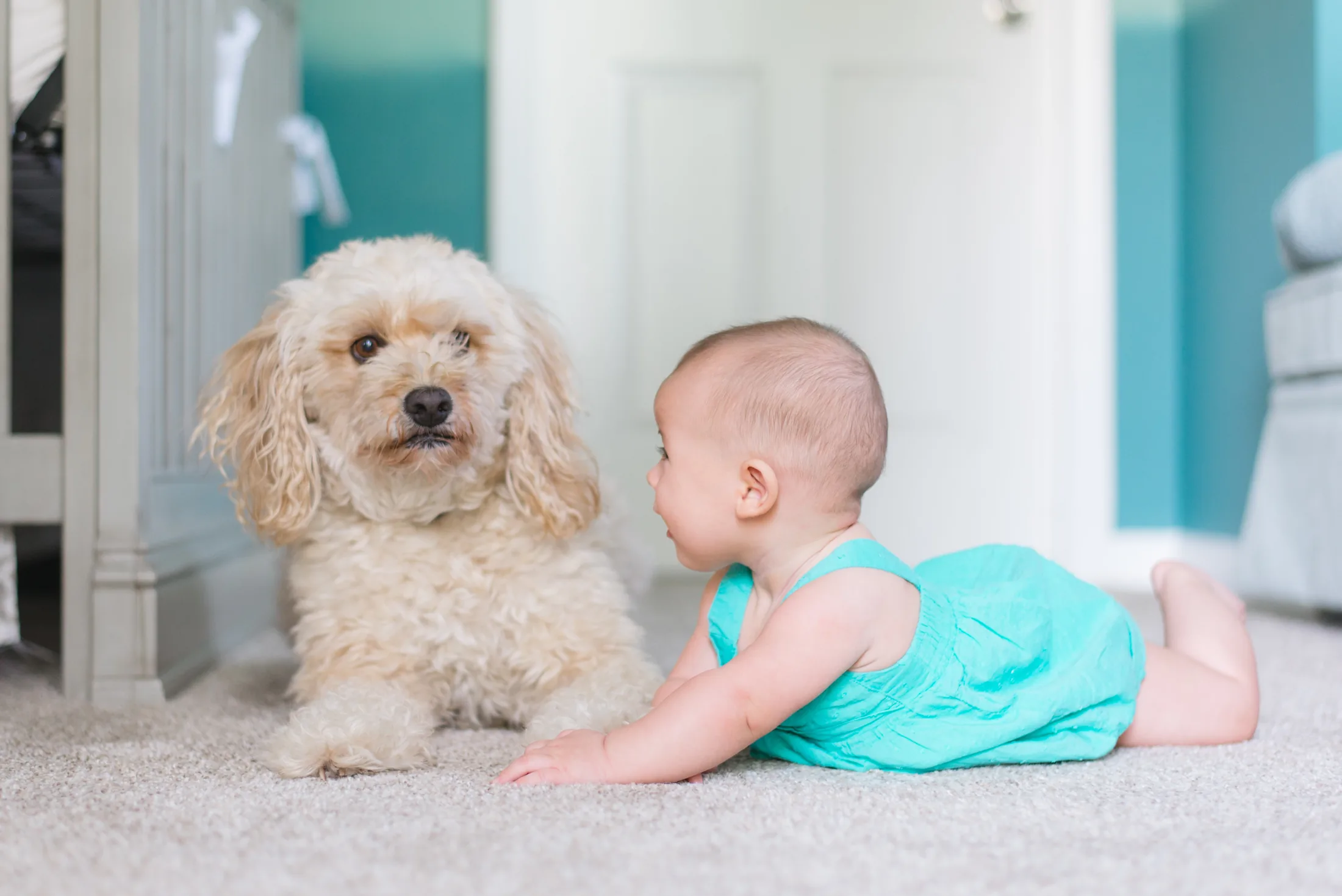 Yumuşak halı üzerinde oynayan bebek ve köpek